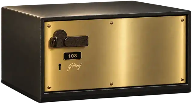 Large Godrej Secunex locker